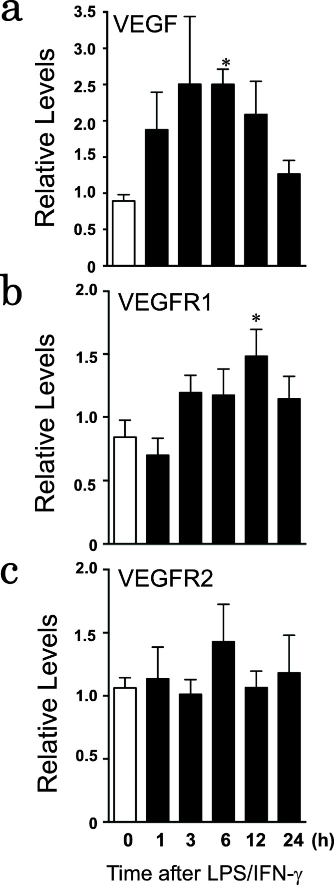 Fig. 3