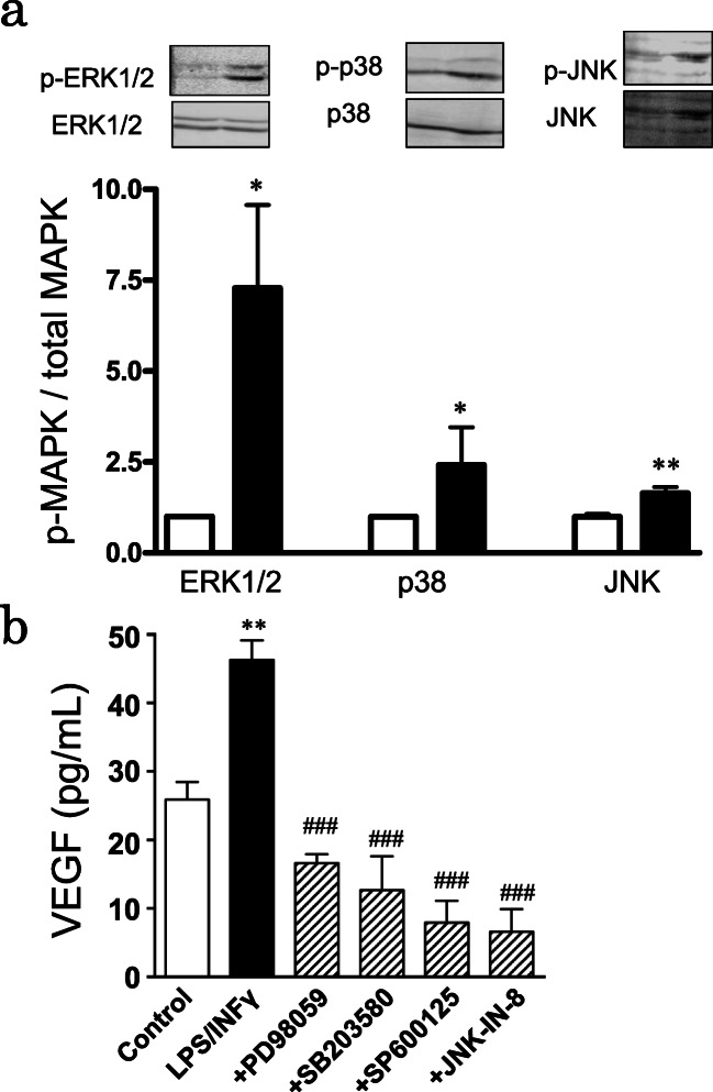 Fig. 4