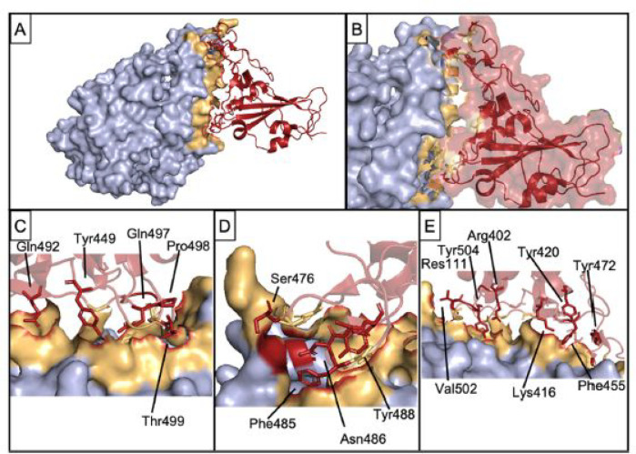 Figure 14