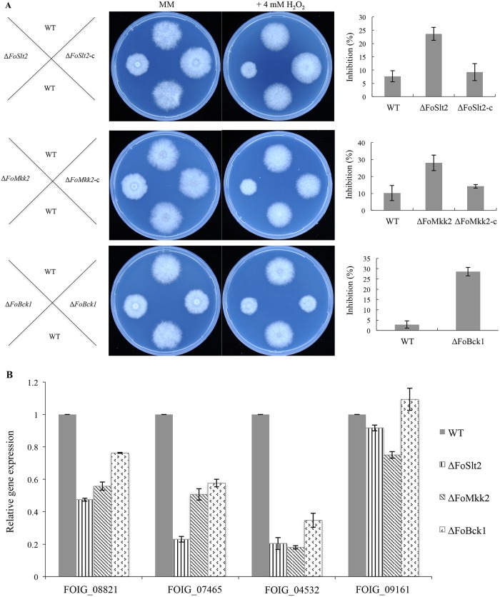 Fig 4