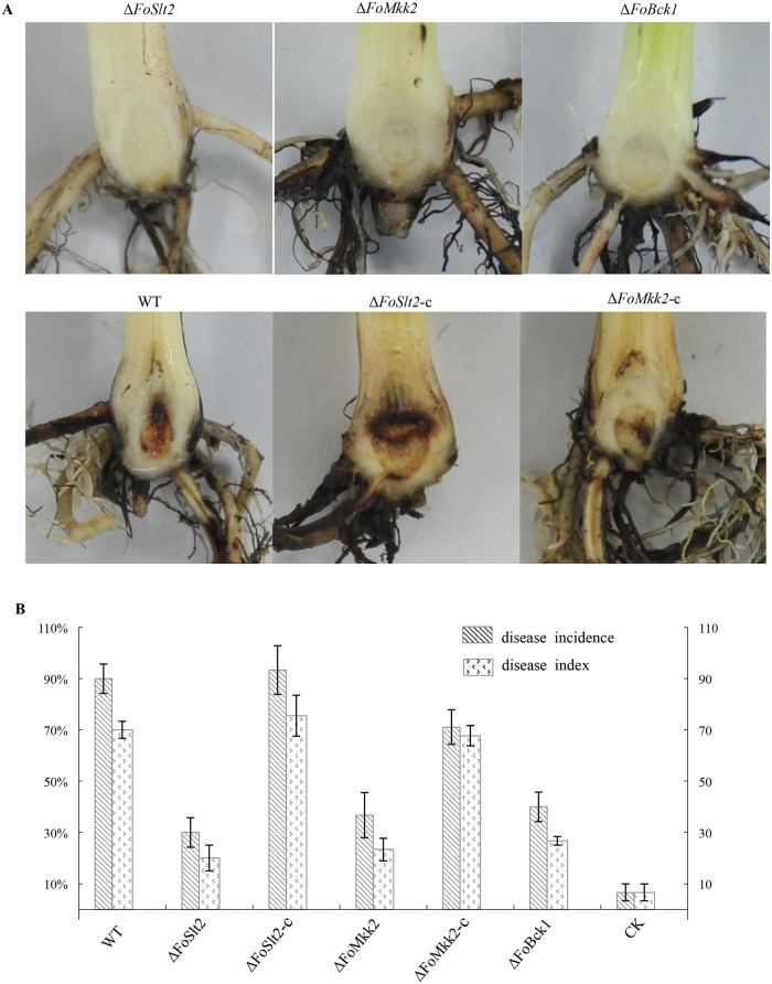 Fig 9