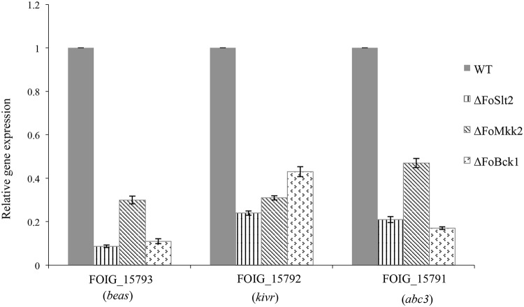 Fig 6