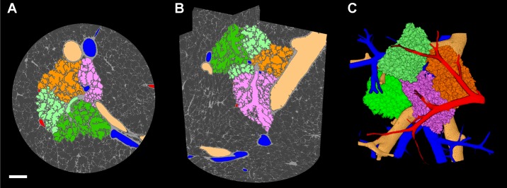 Fig. 4.