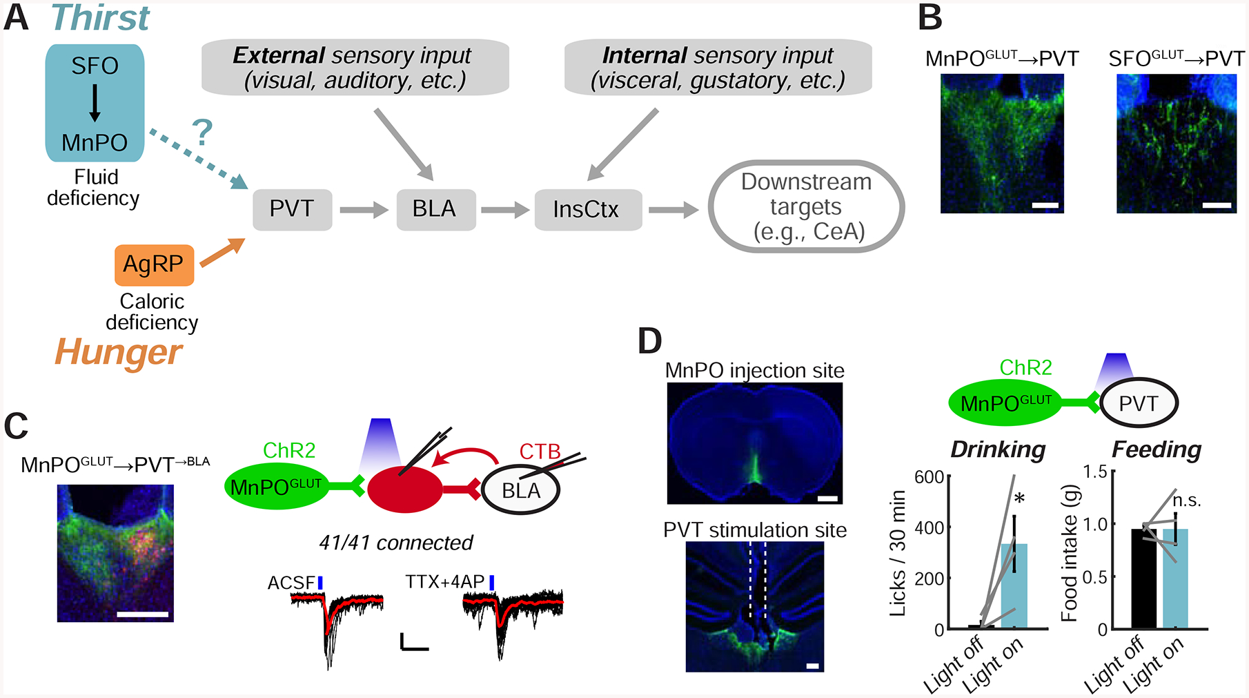 Figure 4: