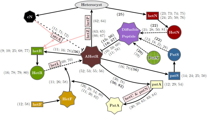 Fig 1