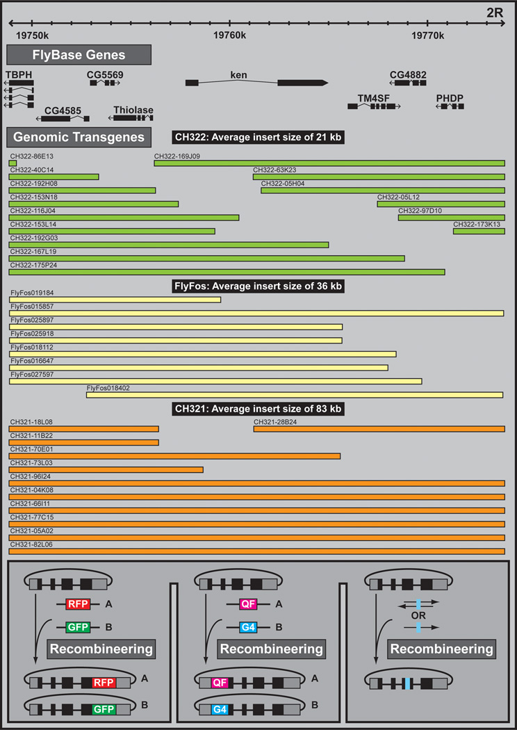 Figure 14