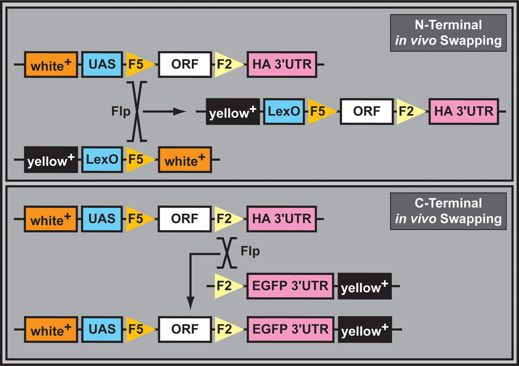 Figure 16