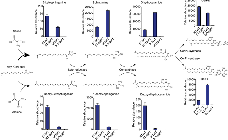 Figure 6: