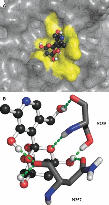 Figure 4