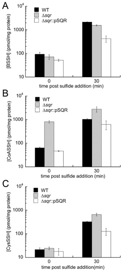 Figure 7