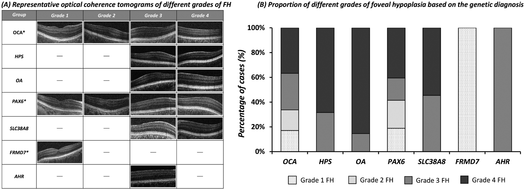 Figure 4: