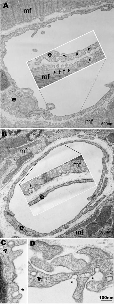 Fig 2.