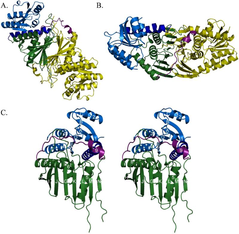 Figure 2