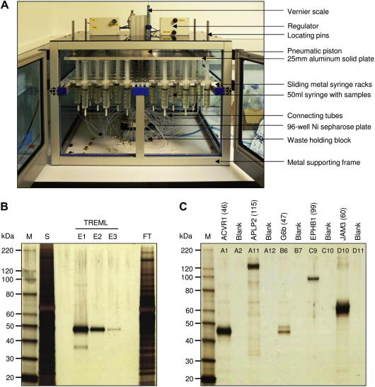 Fig.2