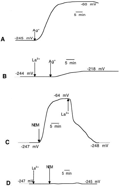 Figure 8