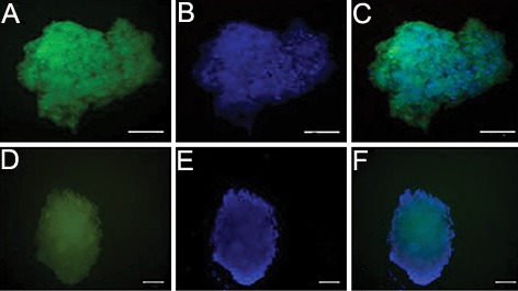 Fig.4