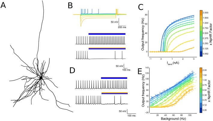 Fig 3