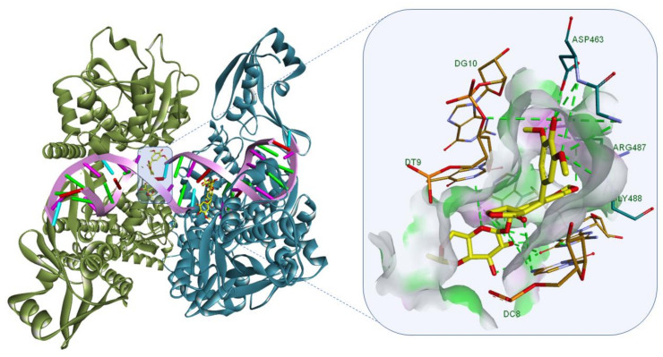 Figure 5