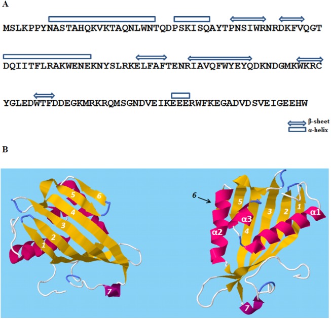 Fig 8