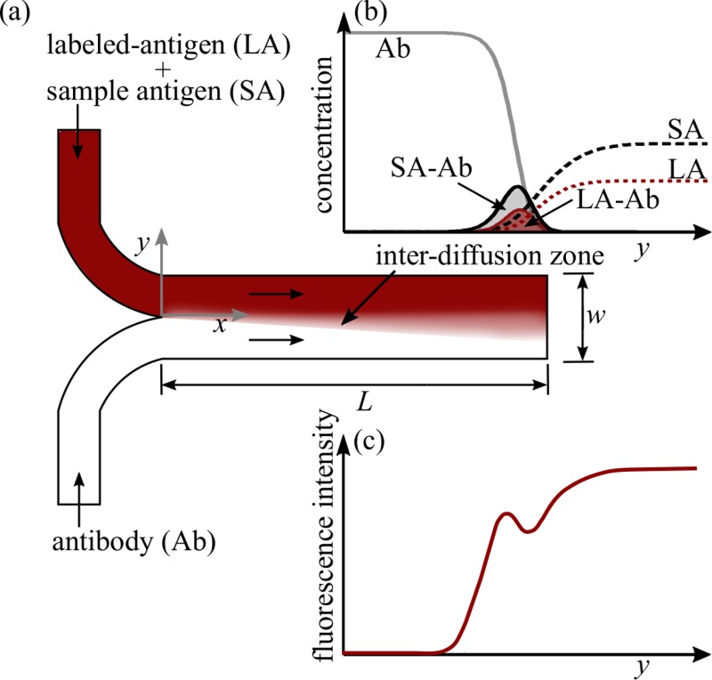 FIG. 1.