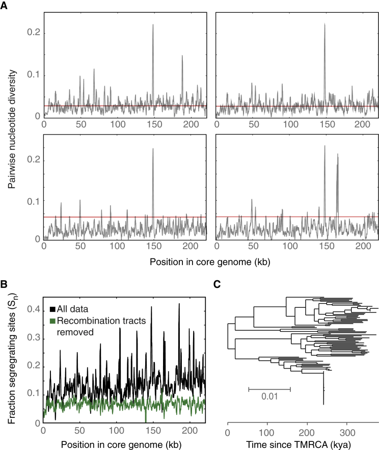 Figure 4