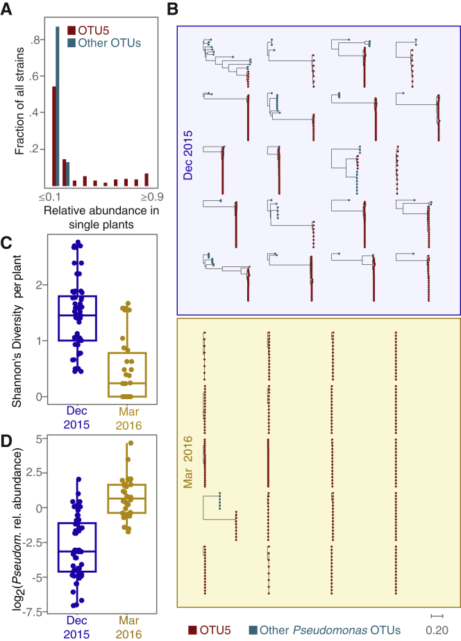 Figure 5