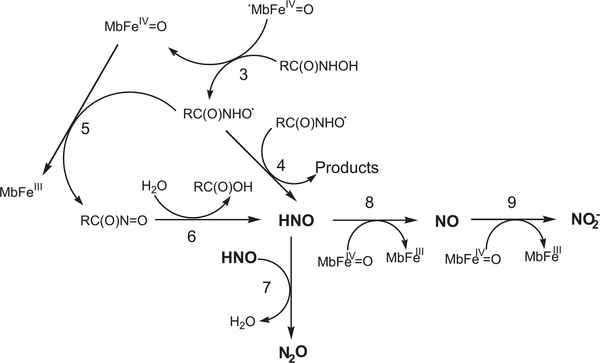 Scheme 2.