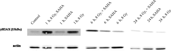 Fig. 14.