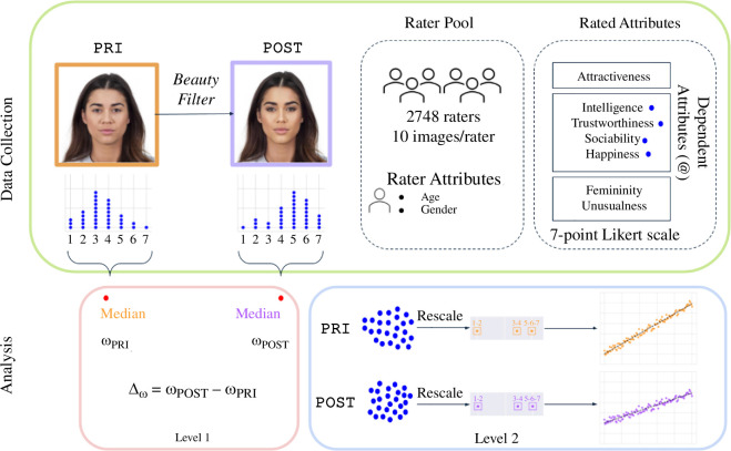 Overview of the study and the analysis of the collected data.