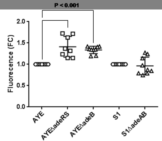 FIG 1 