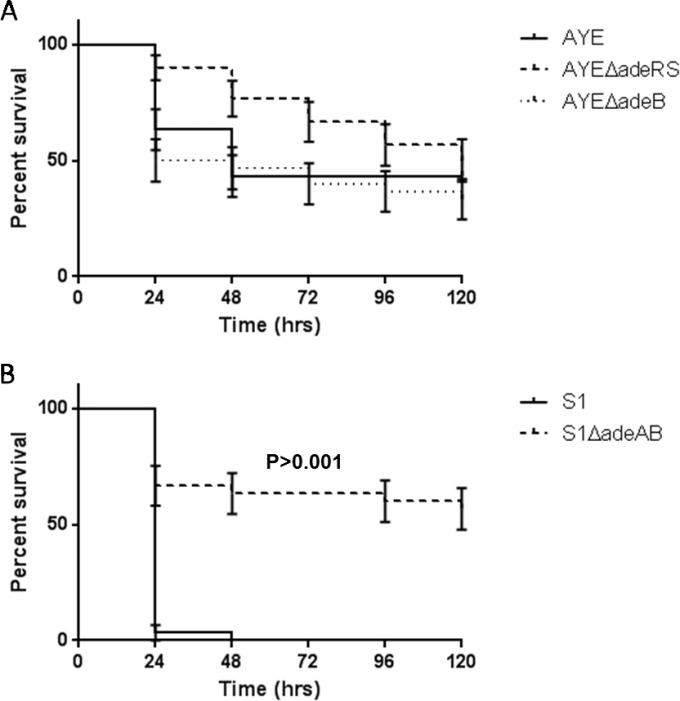 FIG 4 