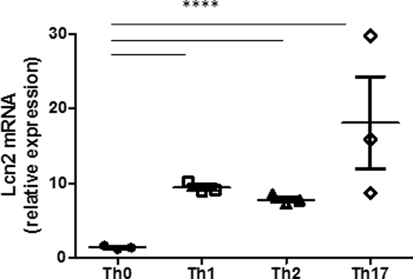 Figure 6: