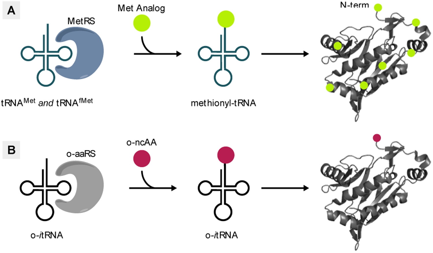 Figure 5.