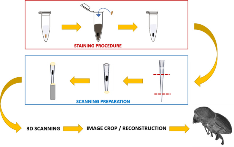 graphic file with name BioProtoc-13-01-4584-ga001.jpg