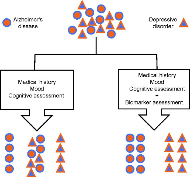 Graphical Abstract