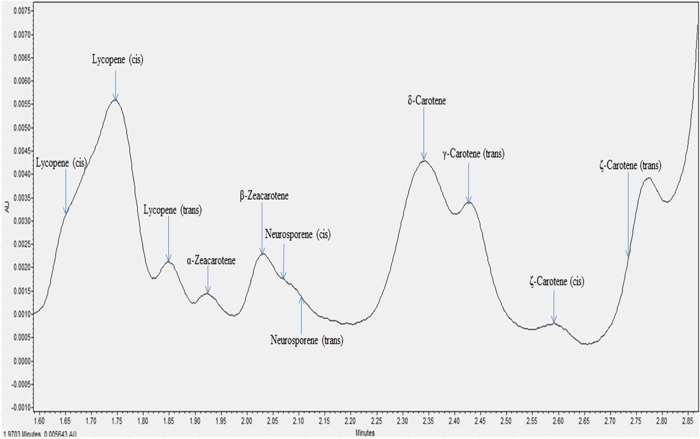 Figure 4.