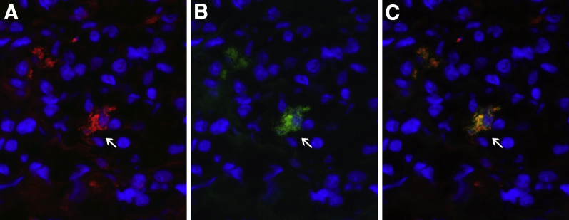 Figure 5