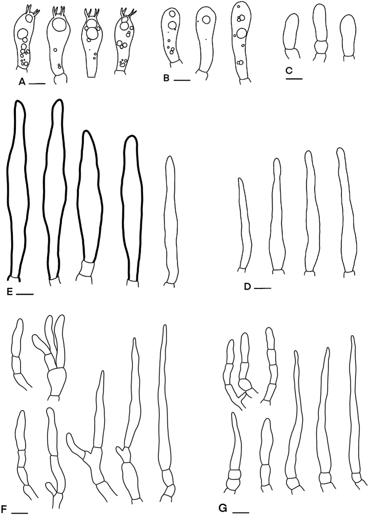 Figure 6.