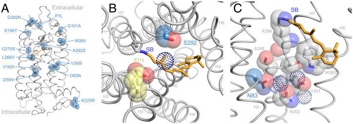 Fig. 4.