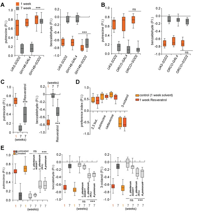 Figure 6—figure supplement 1.