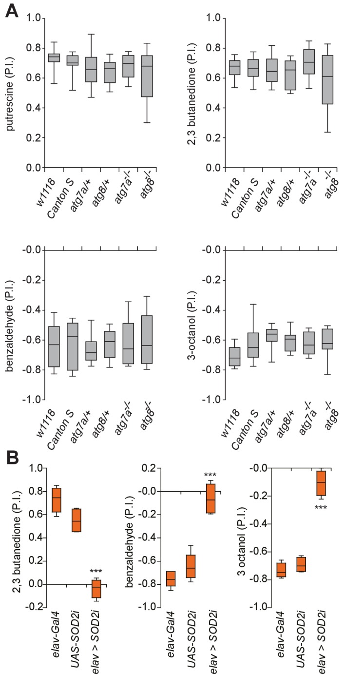 Figure 4—figure supplement 1.