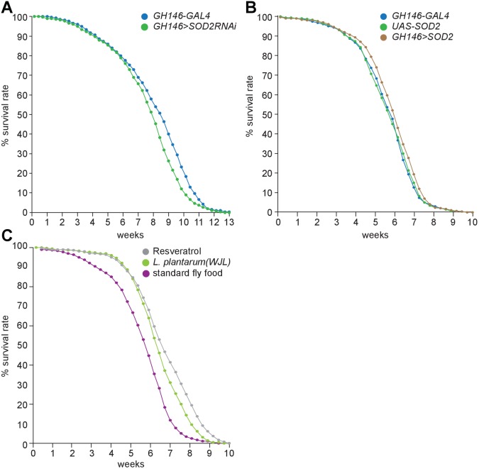 Figure 4—figure supplement 3.