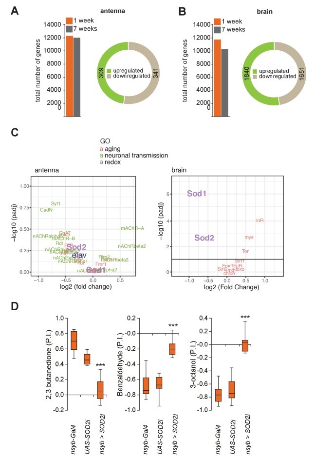 Figure 4—figure supplement 2.