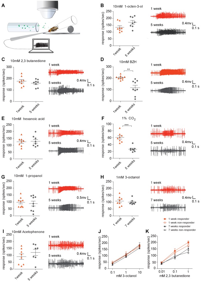 Figure 2—figure supplement 2.