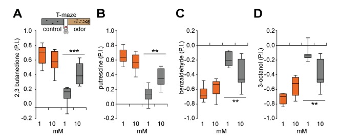 Figure 2—figure supplement 3.