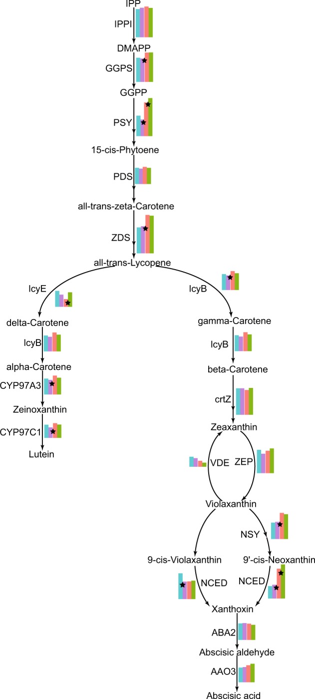 Fig. 4