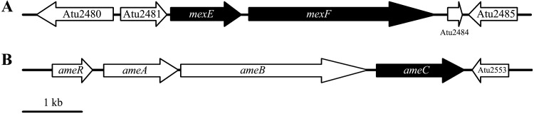 FIG 3