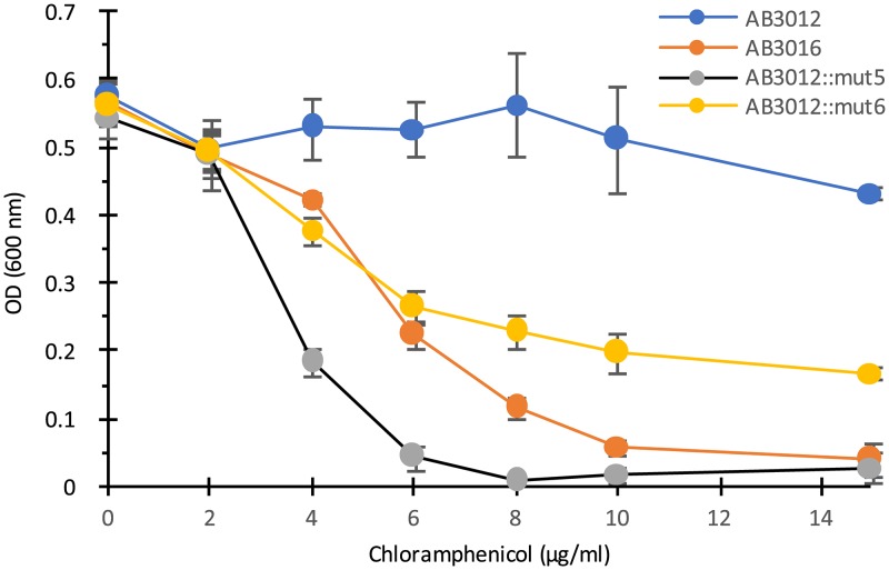 FIG 4