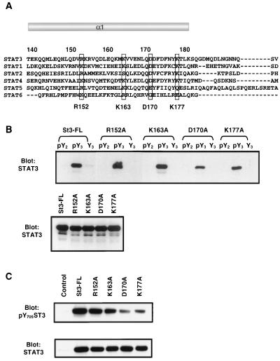 FIG. 5