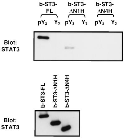 FIG. 7